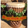 Kapahukapu artwork