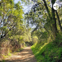 Profits vs Paychecks with Justin Sliva