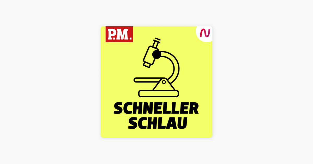 Schneller Schlau Schneller Schlau