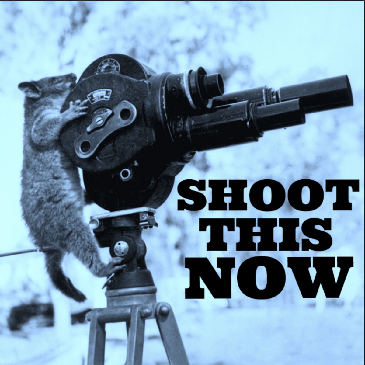The Barry Rothbart Nudist Videographer Story â€“ Shoot This Now â€“ Podcast â€“  Podtail