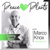 The Peace Love Plants Podcast artwork