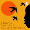 I Know Why the Caged Bird Sings  artwork