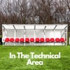 In The Technical Area artwork