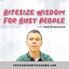 Bitesize Wisdom For Busy People artwork