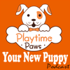 Your New Puppy: Dog Training and Dog Behavior Lessons to Help You Turn Your New Puppy into a Well-Behaved Dog - Debbie Cilento: Dog Trainer | Dog Behavior Consultant | Owner of Playtime Paws | Belly Rub Specialist