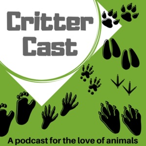 Episode 42 – Rad Raccoons