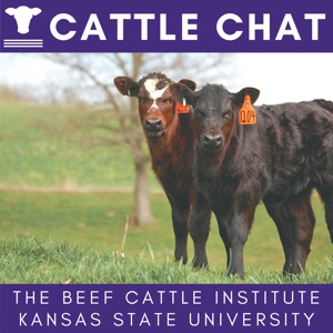 Antibiotic Use, Variable Costs, Average Age of Farmers, Vaccinating Cows