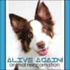 Alive Again - Pet Reincarnation on Pet Life Radio (PetLifeRadio.com) artwork
