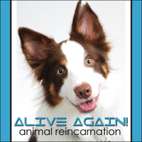 Alive Again - Episode 68 Brent Atwater & Barney Kuntze founder Animal Wellness Summit 