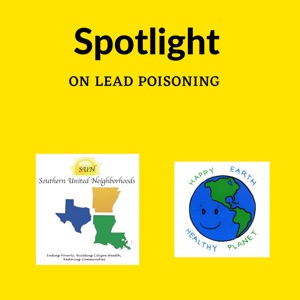 Spotlight on Lead Poisoning: Dry Sanding & Pet Safety