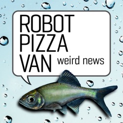 Robot Pizza Van, Funny News