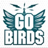 Go Birds artwork