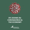 IFS Zooms In: The Economy artwork