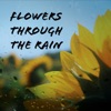Flowers through the rain artwork