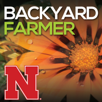 Backyard Farmer (4/3/25)
