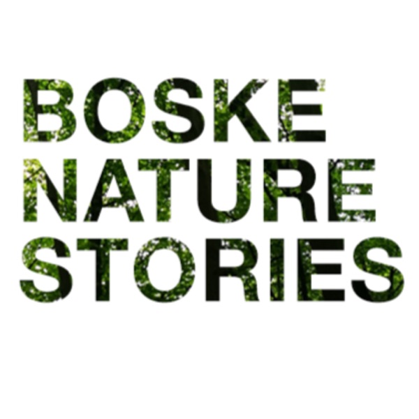 Boske Nature Stories Artwork