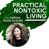 Practical Nontoxic Living artwork