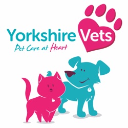 The Yorkshire Vets Podcast