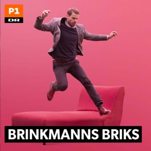 Brinkmanns briks: Parforholdet