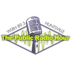 Public Radio Hour Podcast artwork