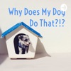 Why Does My Dog Do That?!? artwork