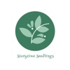 Storytime Seedlings artwork