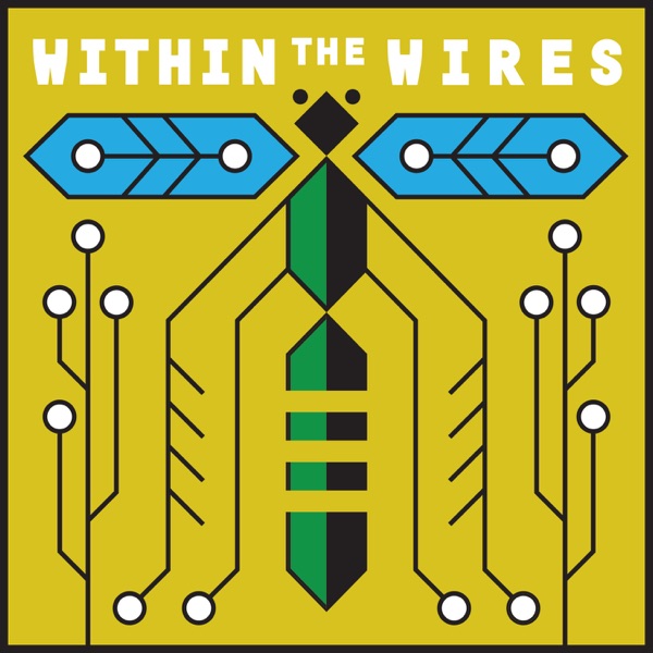 Within the Wires Within the Wires