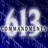 613 Commandments artwork