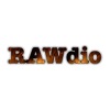RAWdio artwork