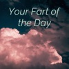 Your Fart of the Day artwork