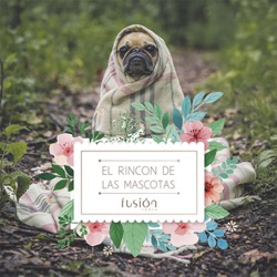 #17 El Rincón de las Mascotas