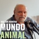 Mundo Animal con el Dr Romero