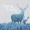 Deer Tracks artwork
