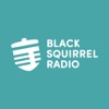 Black Squirrel Radio Presents artwork