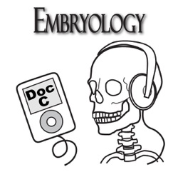 Nov 30 Embryology Lecture: Digestive System