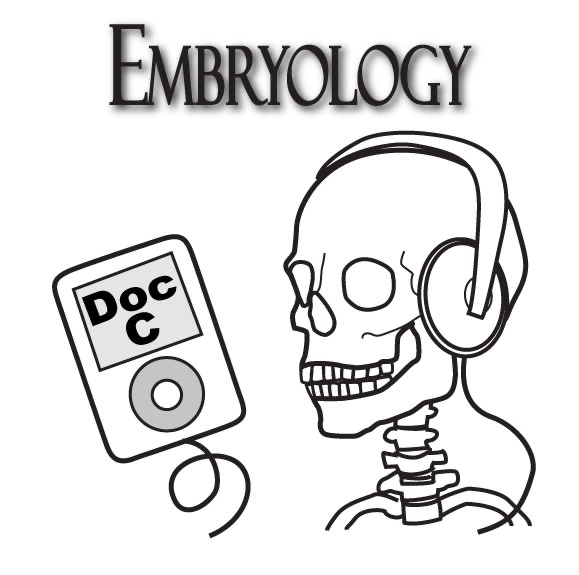 Biology 3130 -- Embryology with Doc C