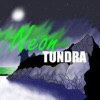 Neon Tundra artwork