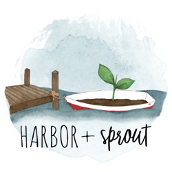 Introducing Curio by Harbor + Sprout