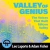 Valley of Genius (Audio) artwork