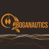 Iboganautics artwork