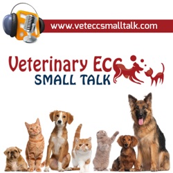 Hepatic Encephalopathy in Dogs and Cats