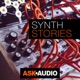 Synth Stories 20 - Goose Synrise & Arp Odyssey