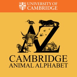 The Cambridge Animal Alphabet series