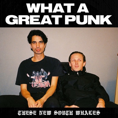 What a Great Punk What a Great Punk