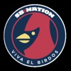 Viva El Birdos Podcast artwork
