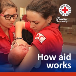 How Aid Works