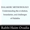 Halakhic Methodology- Rabbi Haim Ovadia artwork