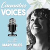 Cannabis Voices artwork