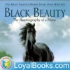 Black Beauty by Anna Sewell artwork