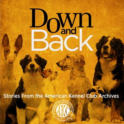 Down and Back Down and Back